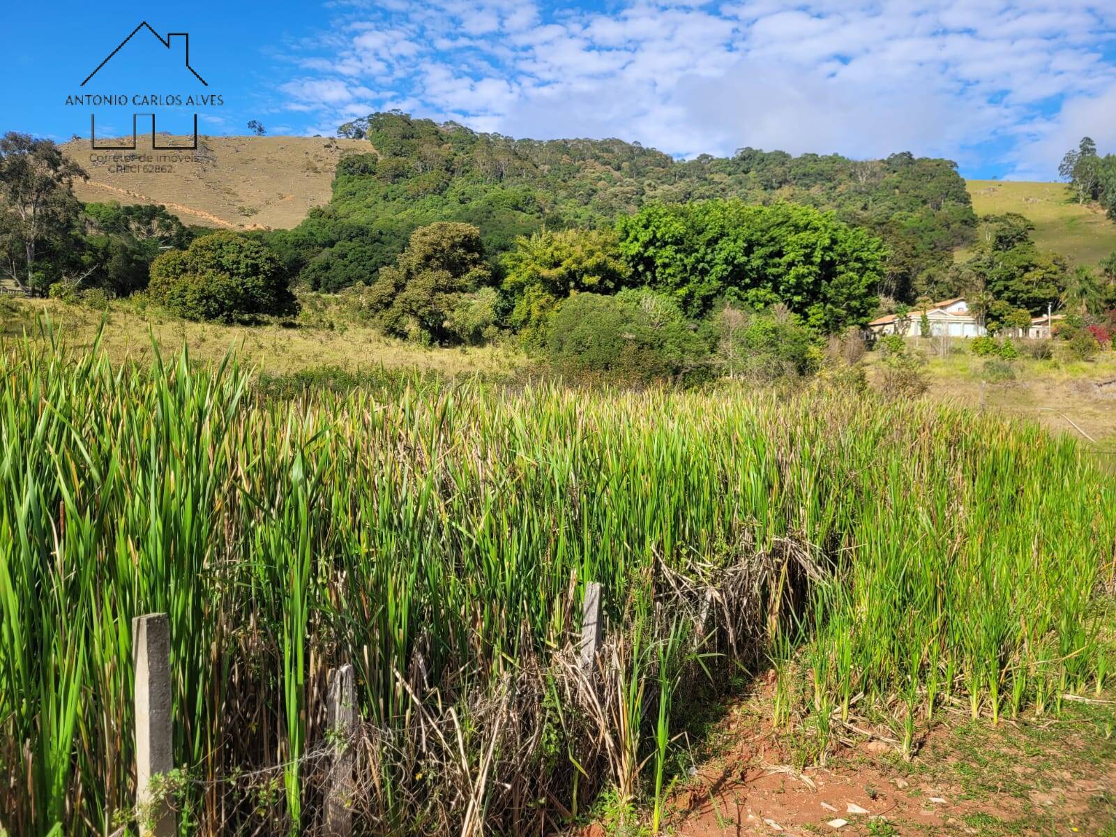 Fazenda à venda com 3 quartos, 350m² - Foto 68