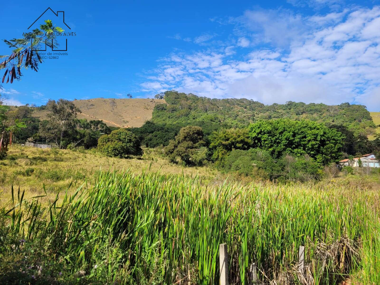 Fazenda à venda com 3 quartos, 350m² - Foto 69