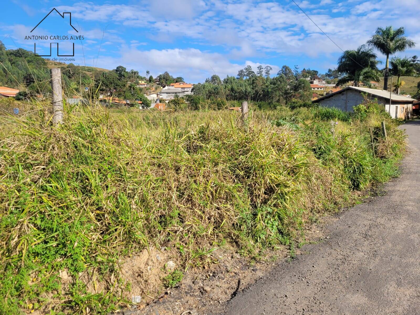 Fazenda à venda com 3 quartos, 350m² - Foto 71