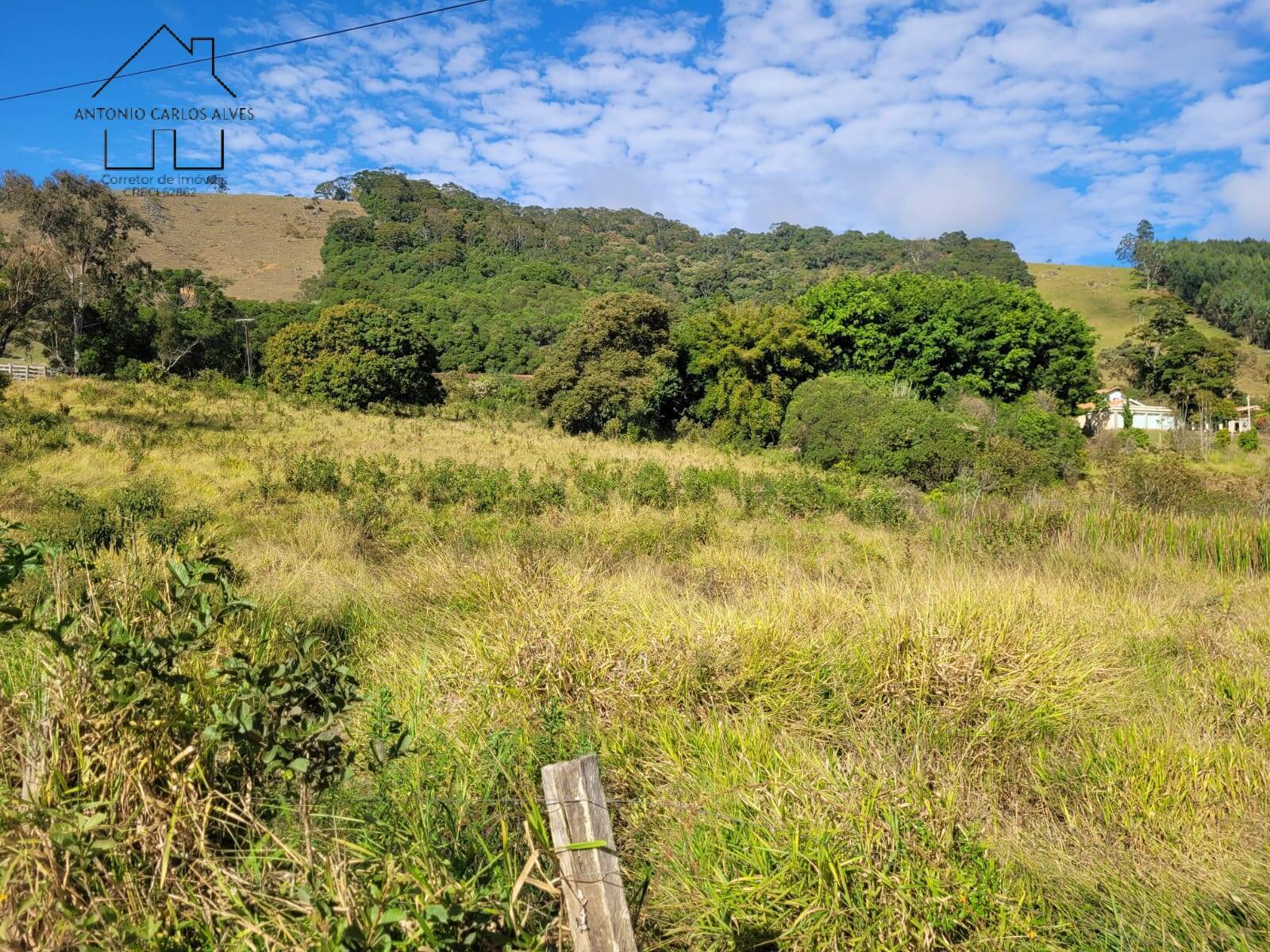 Fazenda à venda com 3 quartos, 350m² - Foto 74