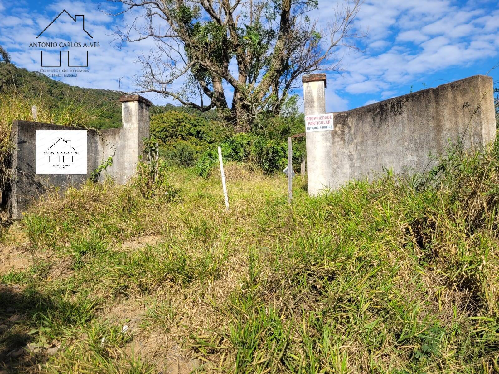 Fazenda à venda com 3 quartos, 350m² - Foto 75