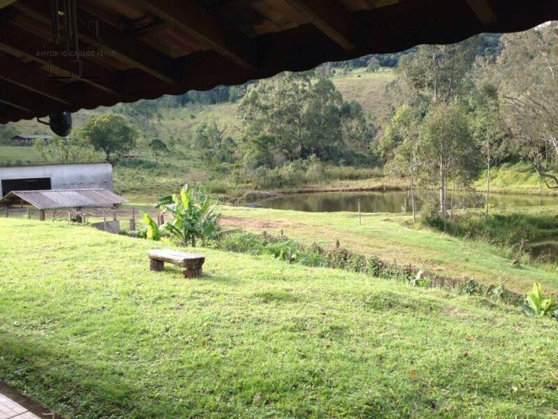 Fazenda à venda com 4 quartos, 1000m² - Foto 4