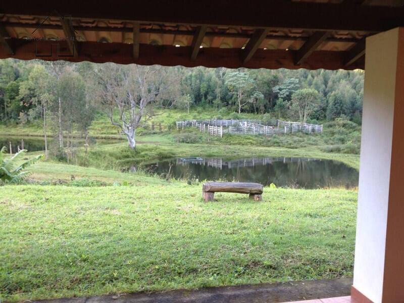 Fazenda à venda com 4 quartos, 1000m² - Foto 6