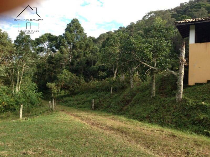 Fazenda à venda com 4 quartos, 1000m² - Foto 10