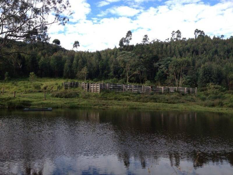 Fazenda à venda com 4 quartos, 1000m² - Foto 7