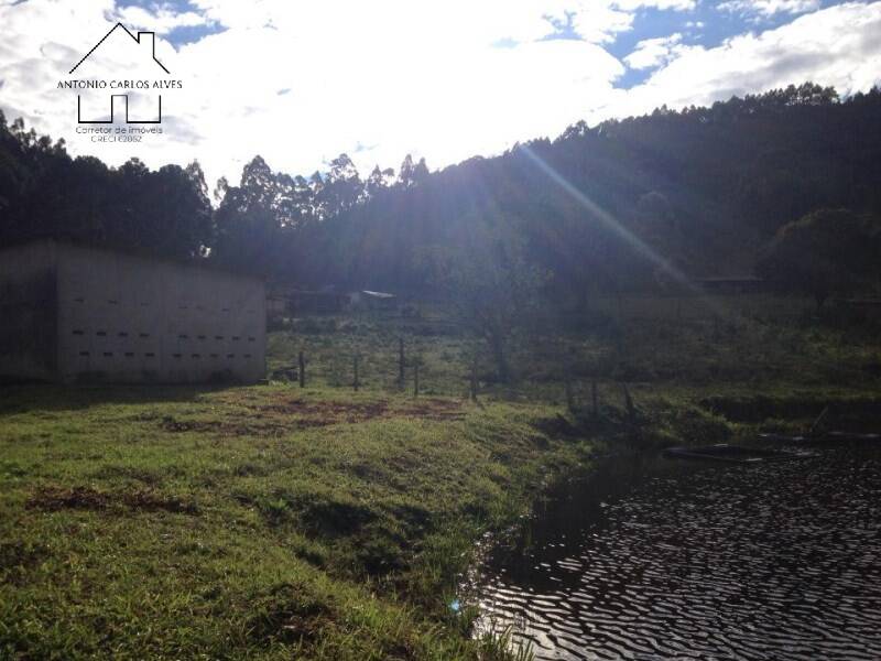 Fazenda à venda com 4 quartos, 1000m² - Foto 9