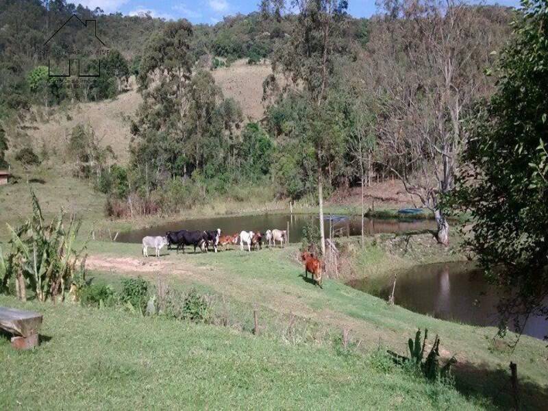 Fazenda à venda com 4 quartos, 1000m² - Foto 12