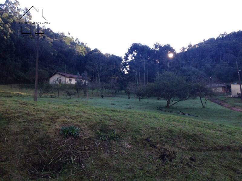 Fazenda à venda com 4 quartos, 1000m² - Foto 8