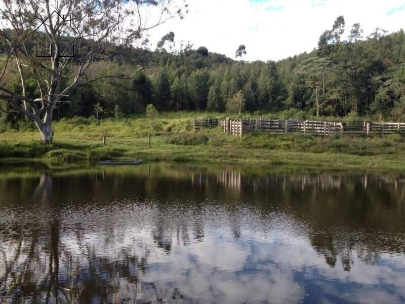 Fazenda à venda com 4 quartos, 1000m² - Foto 30