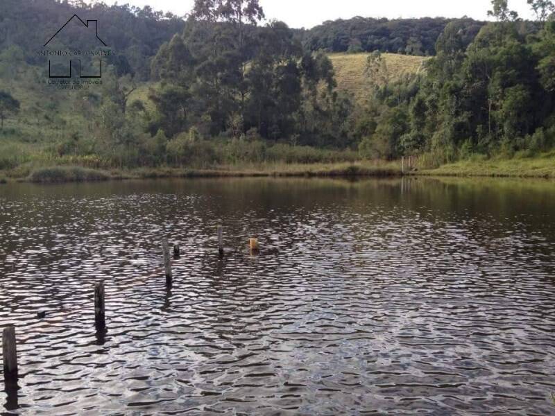 Fazenda à venda com 4 quartos, 1000m² - Foto 34