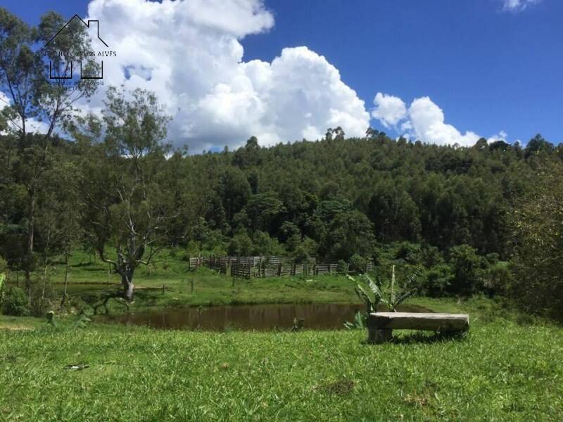 Fazenda à venda com 4 quartos, 1000m² - Foto 35