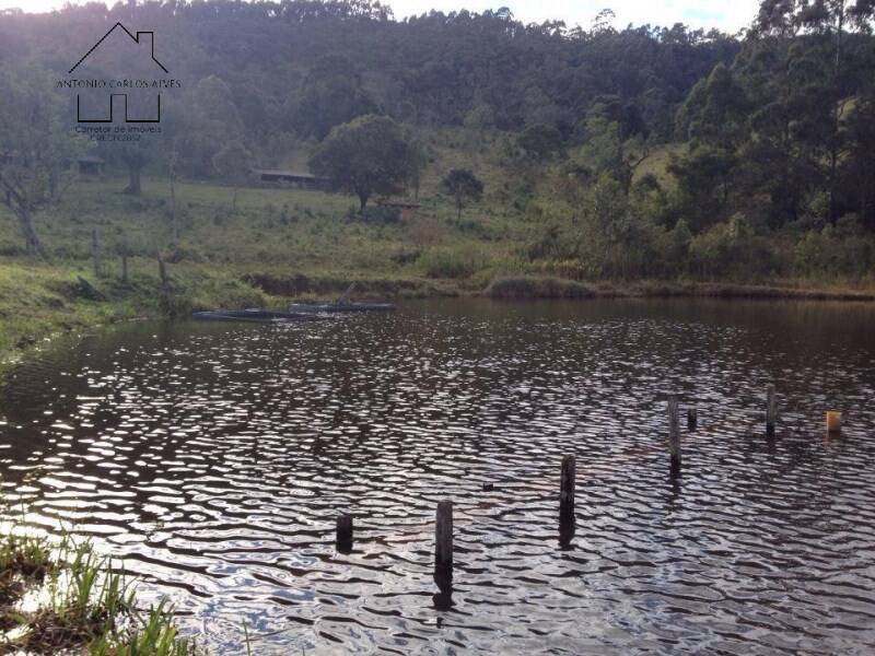 Fazenda à venda com 4 quartos, 1000m² - Foto 36