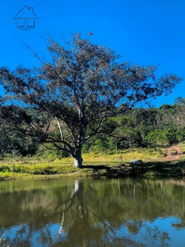 Fazenda à venda com 4 quartos, 1000m² - Foto 41