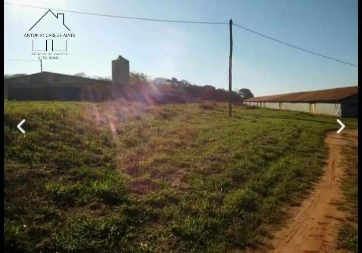 Fazenda à venda com 4 quartos, 1000m² - Foto 47