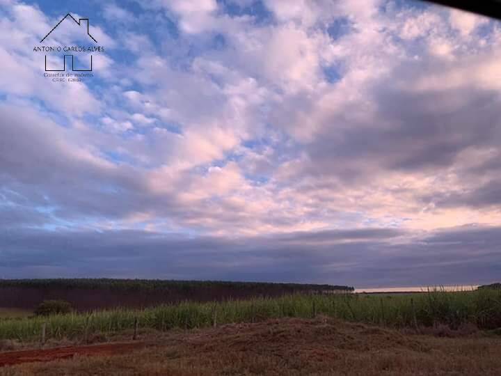 Fazenda à venda com 4 quartos, 1000m² - Foto 57