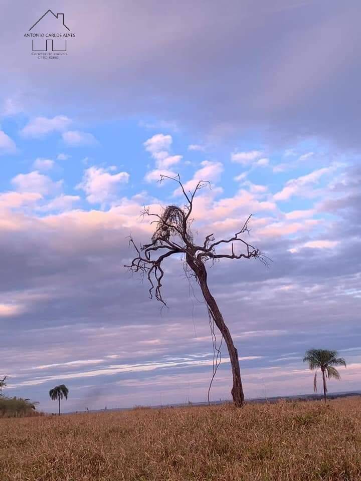 Fazenda à venda com 4 quartos, 1000m² - Foto 58