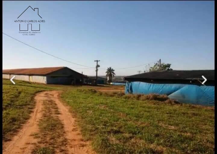 Fazenda à venda com 4 quartos, 1000m² - Foto 52