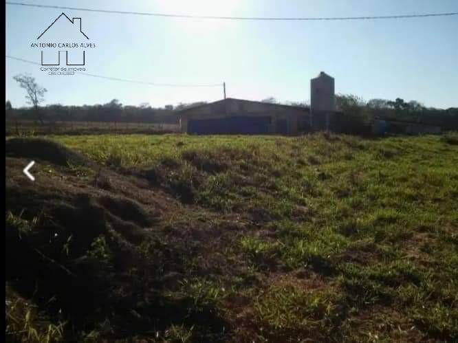 Fazenda à venda com 4 quartos, 1000m² - Foto 55