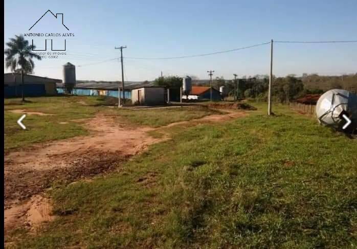 Fazenda à venda com 4 quartos, 1000m² - Foto 53