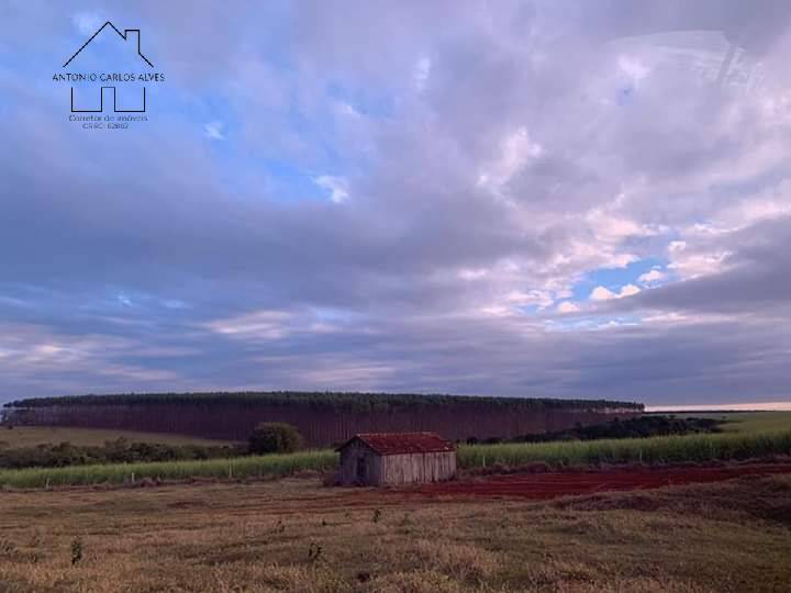 Fazenda à venda com 4 quartos, 1000m² - Foto 60