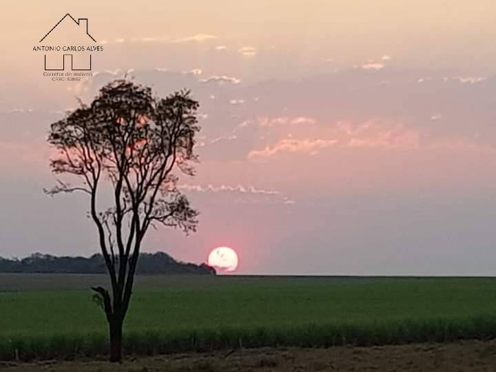 Fazenda à venda com 4 quartos, 1000m² - Foto 59