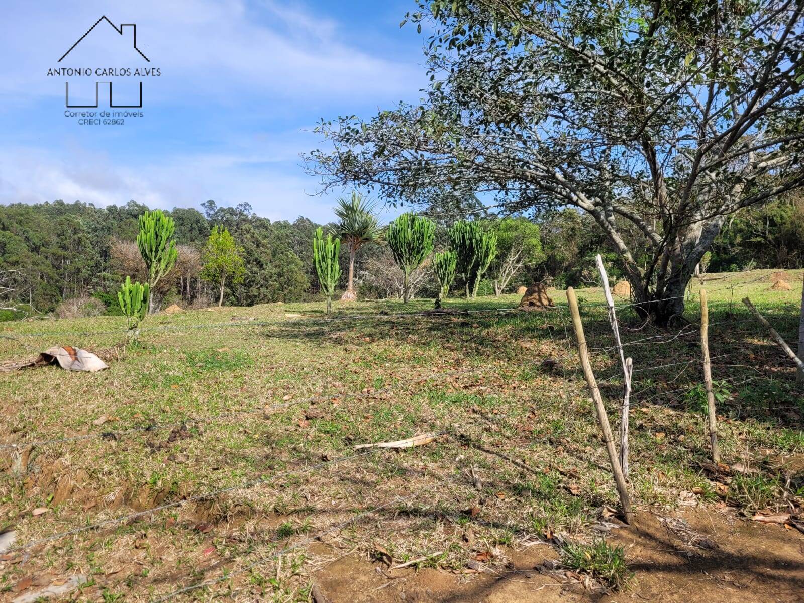 Terreno à venda, 20000m² - Foto 6