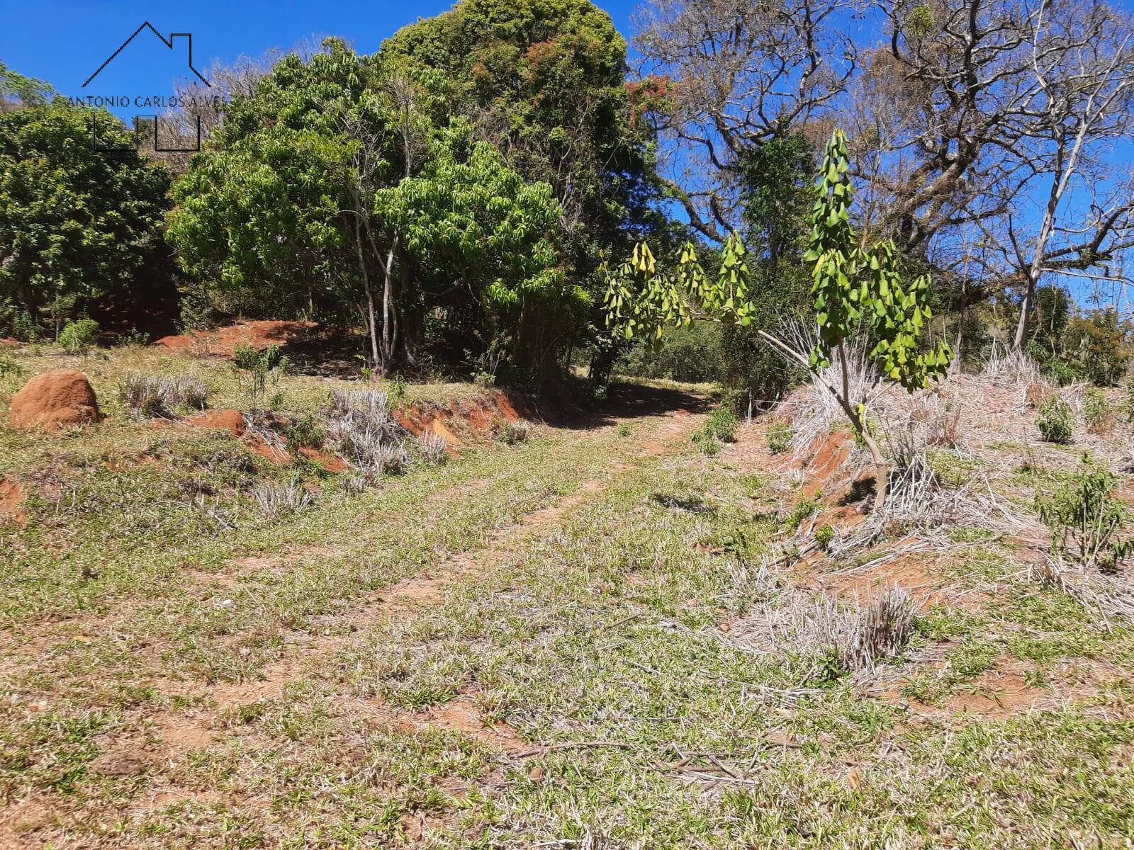 Fazenda à venda com 2 quartos, 70m² - Foto 2