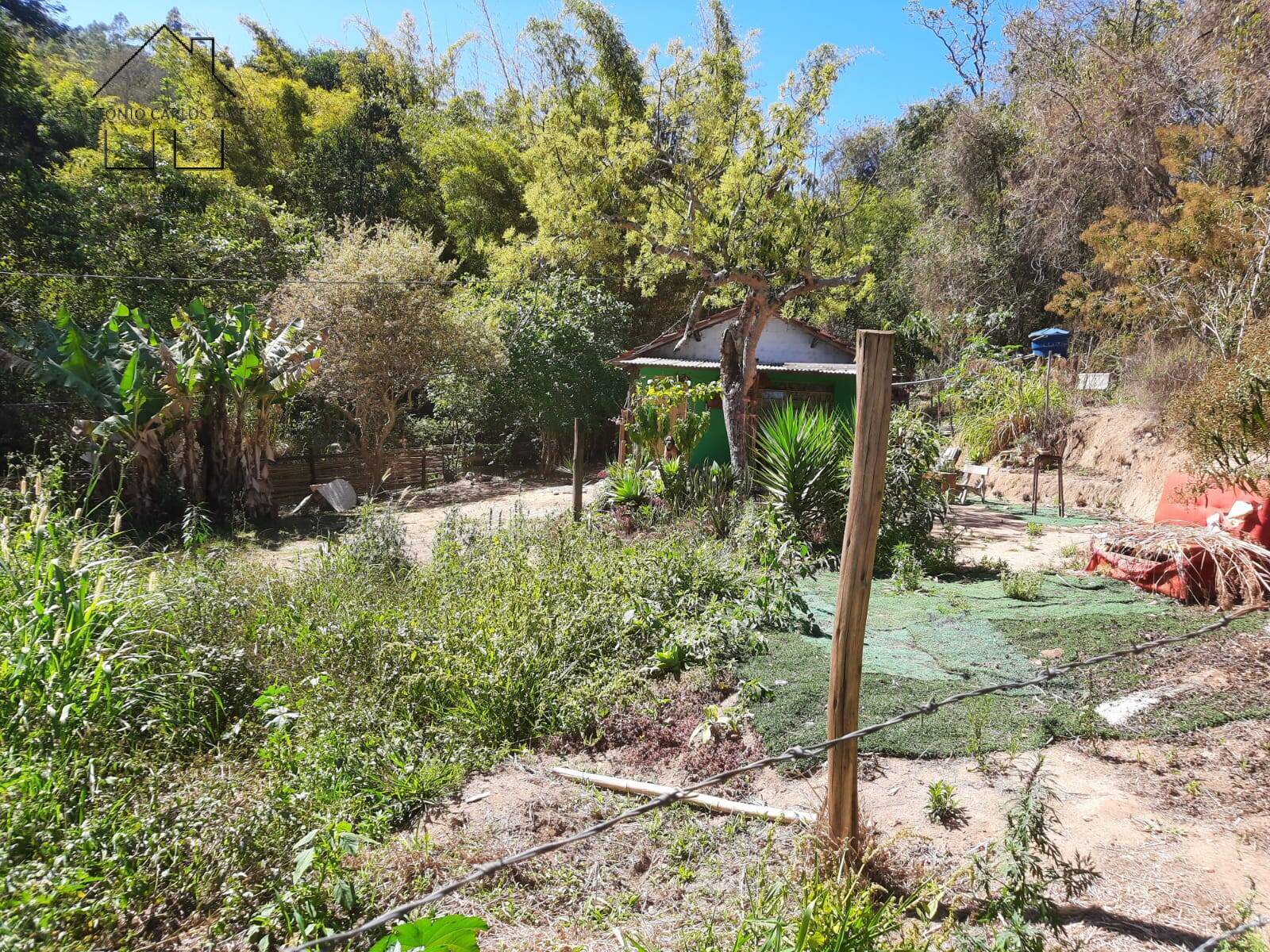 Fazenda à venda com 2 quartos, 70m² - Foto 3