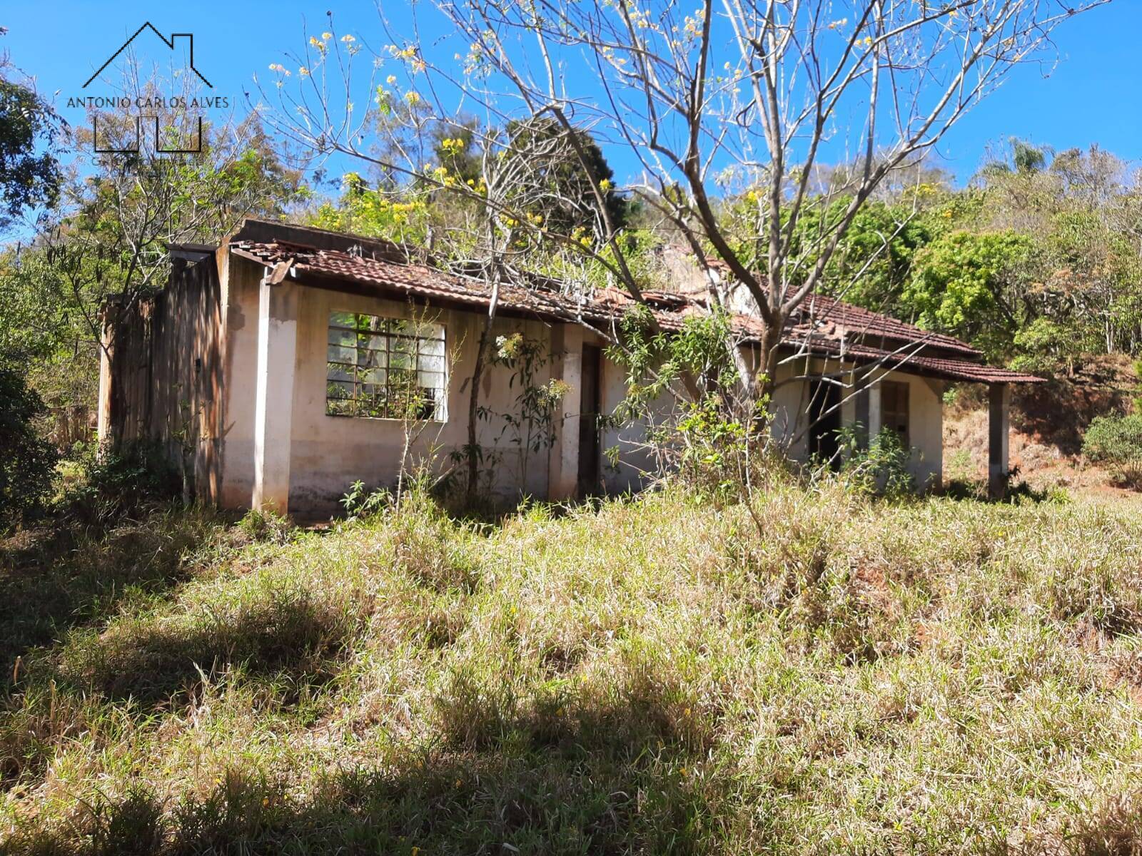 Fazenda à venda com 2 quartos, 70m² - Foto 7