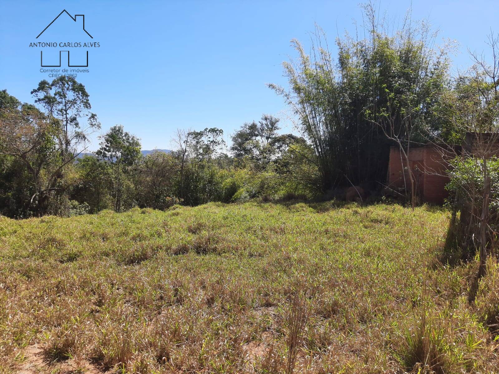 Fazenda à venda com 2 quartos, 70m² - Foto 6