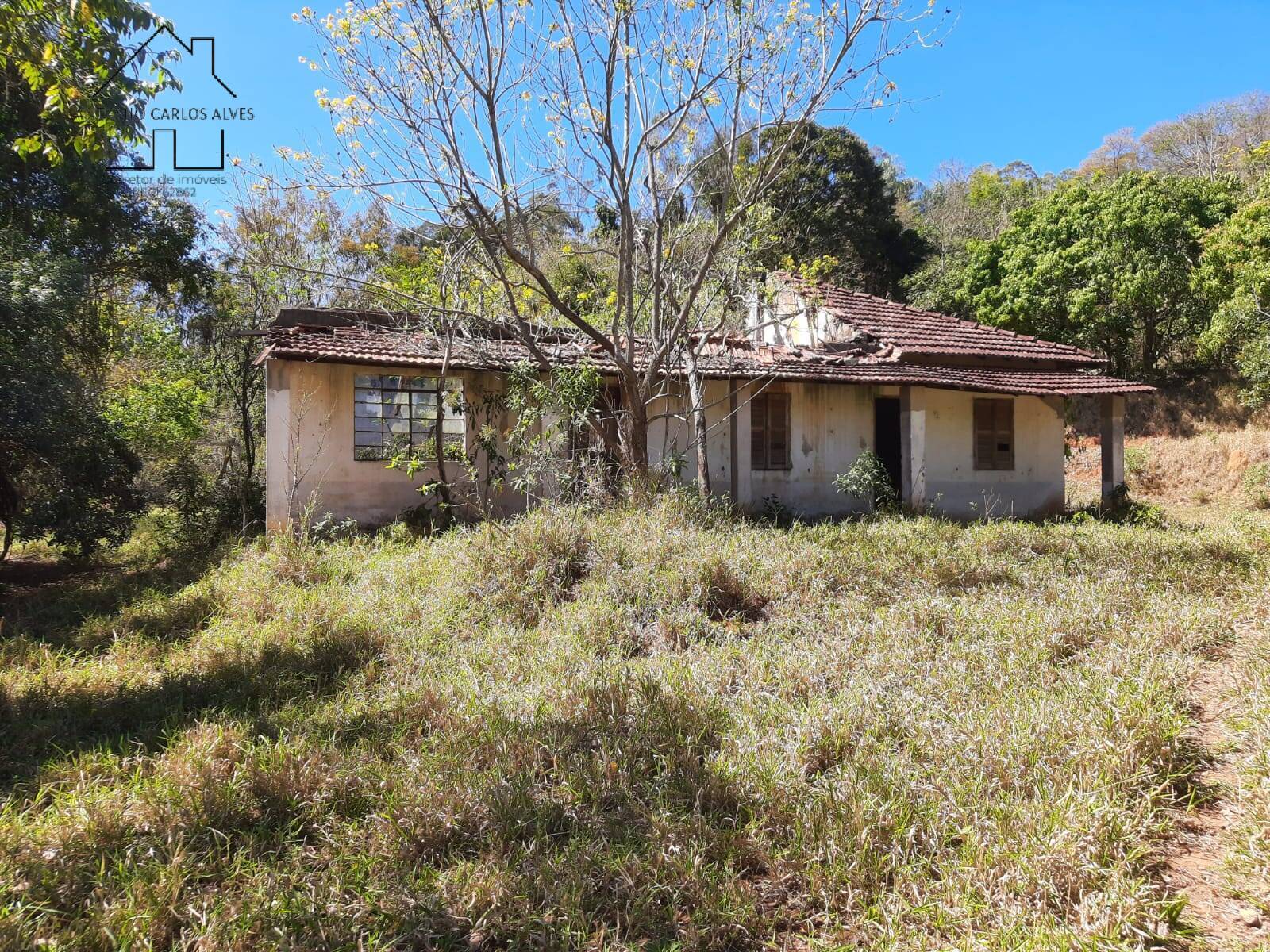 Fazenda à venda com 2 quartos, 70m² - Foto 8