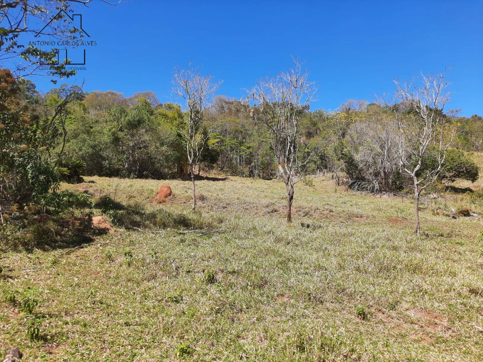 Terreno à venda, 23200m² - Foto 3