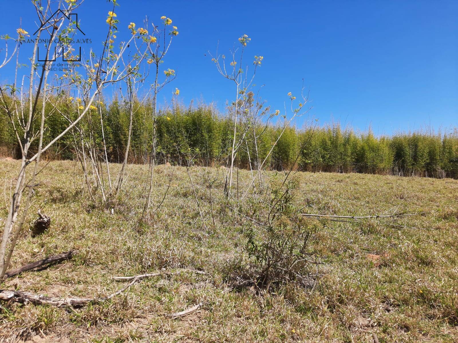 Terreno à venda, 23200m² - Foto 8