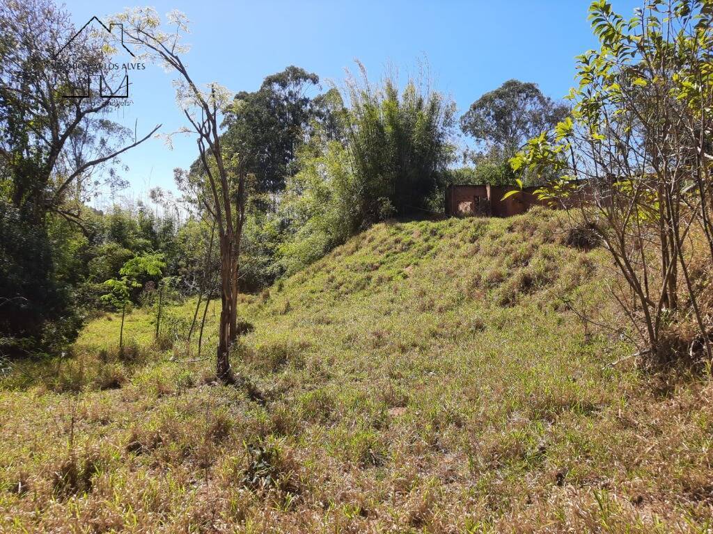 Terreno à venda, 66468m² - Foto 20