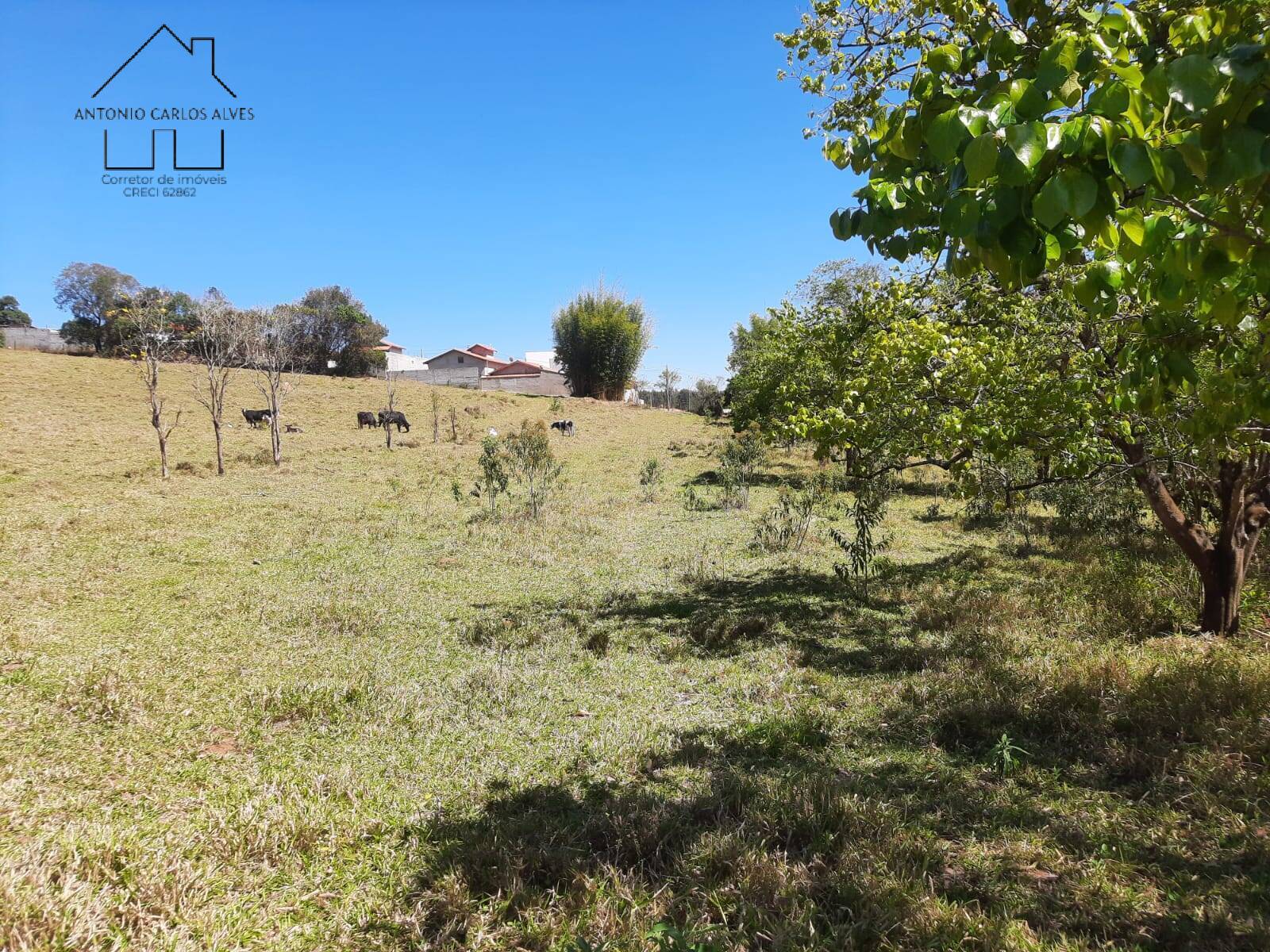 Terreno à venda, 66468m² - Foto 35