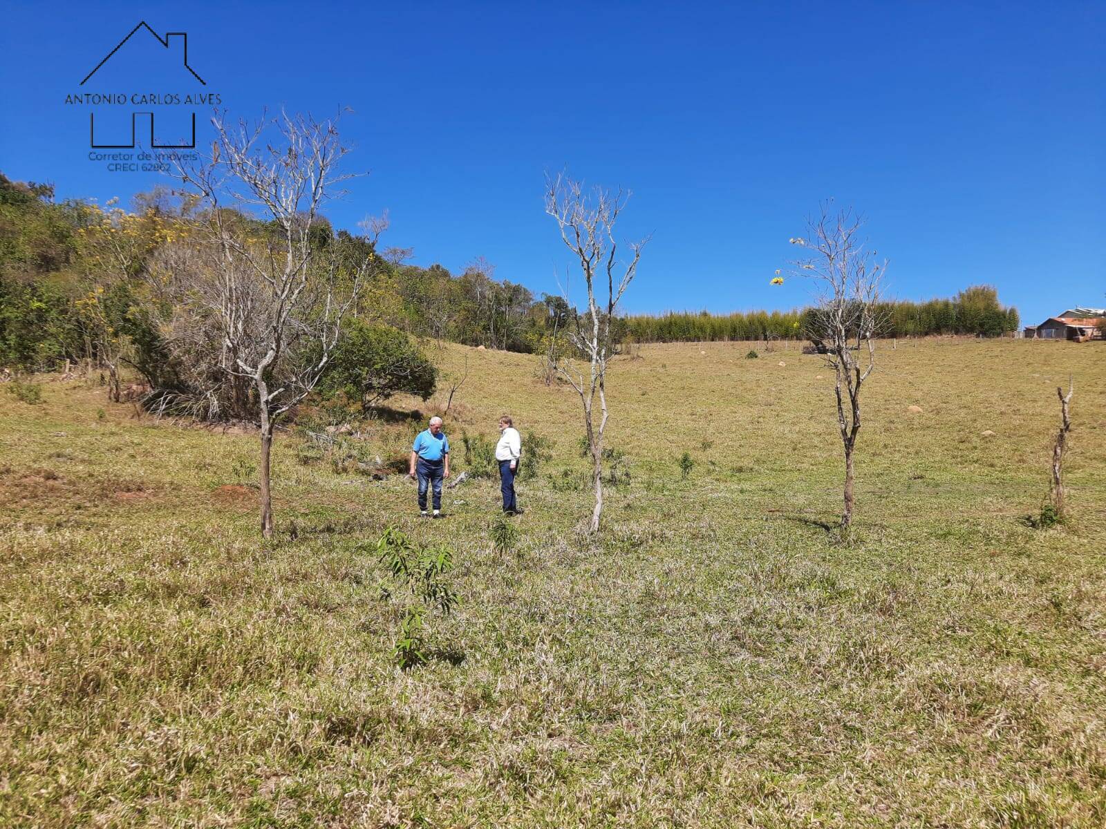 Terreno à venda, 66468m² - Foto 36