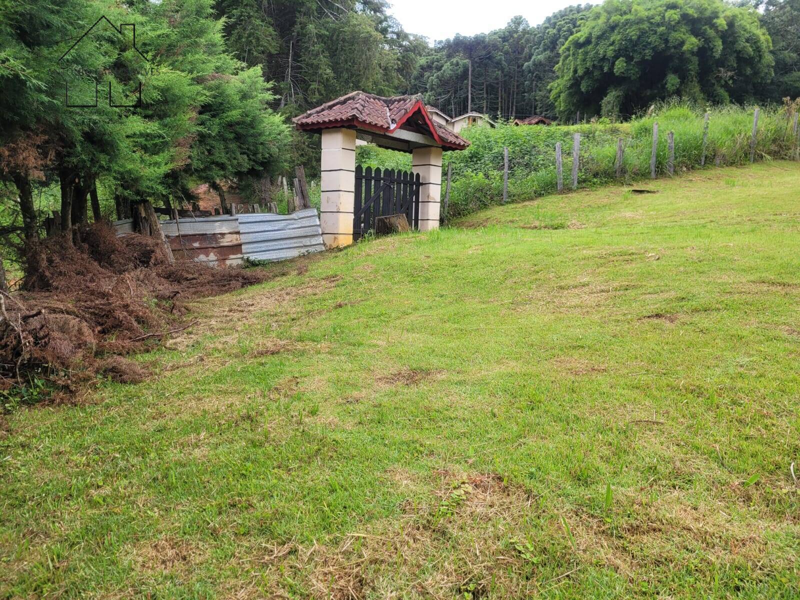 Fazenda à venda com 2 quartos, 100m² - Foto 32