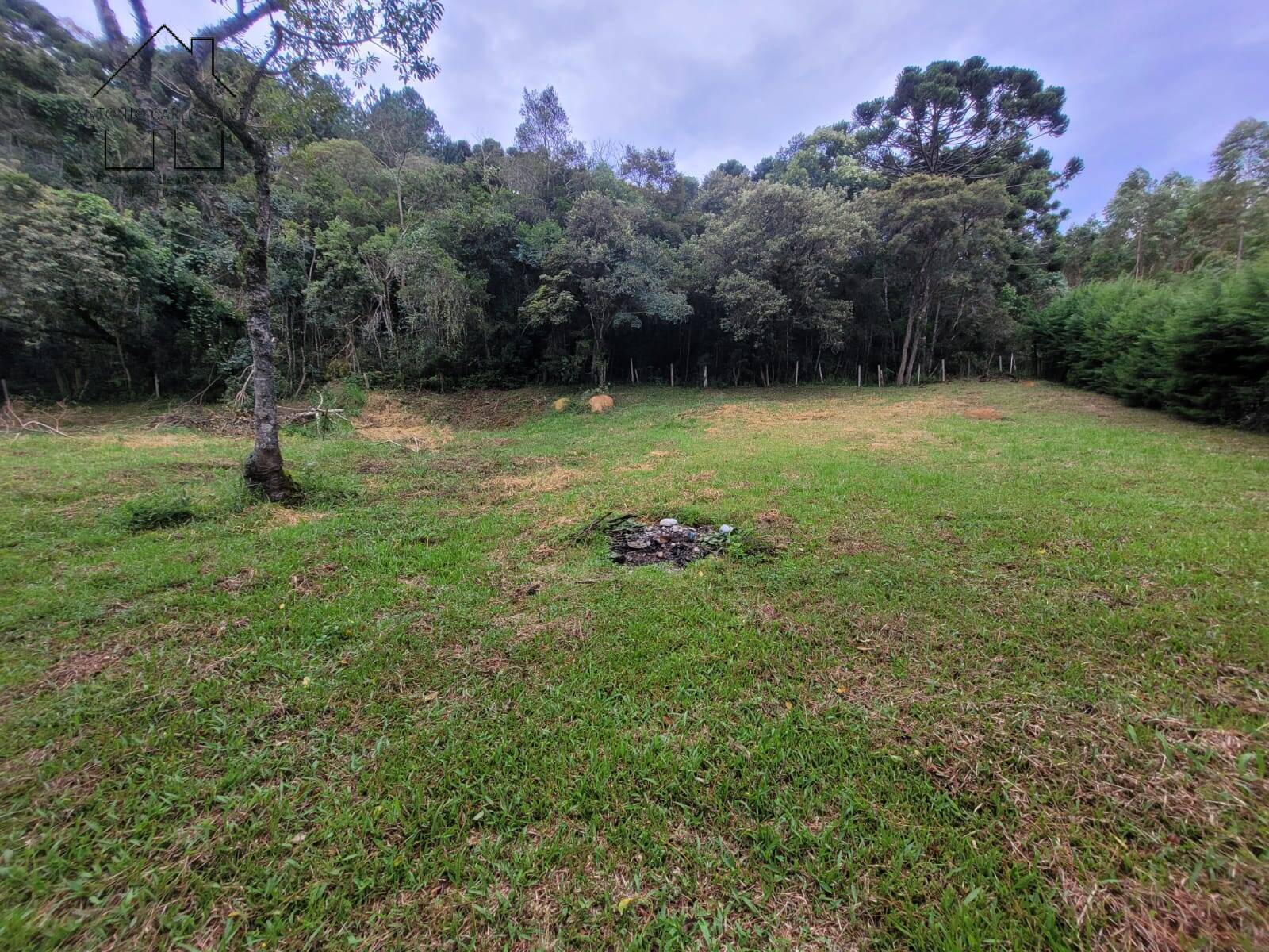 Fazenda à venda com 2 quartos, 100m² - Foto 37