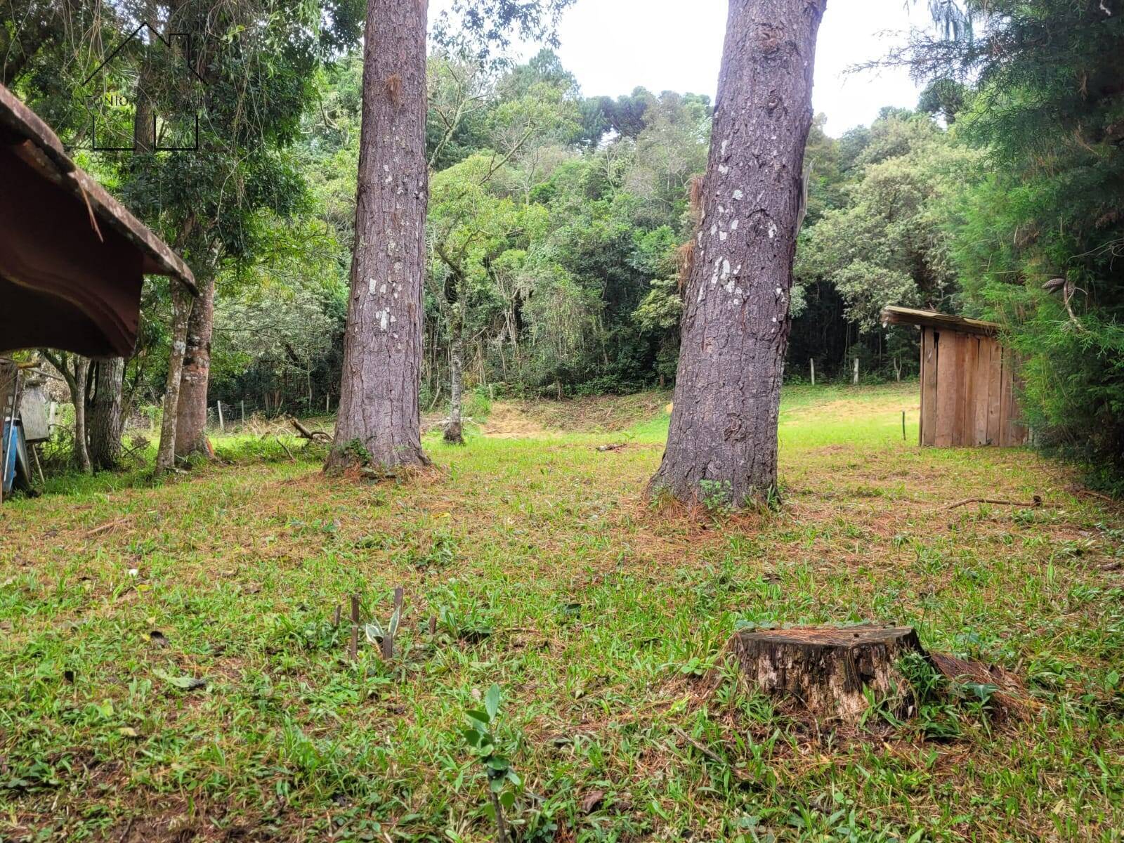 Fazenda à venda com 2 quartos, 100m² - Foto 38