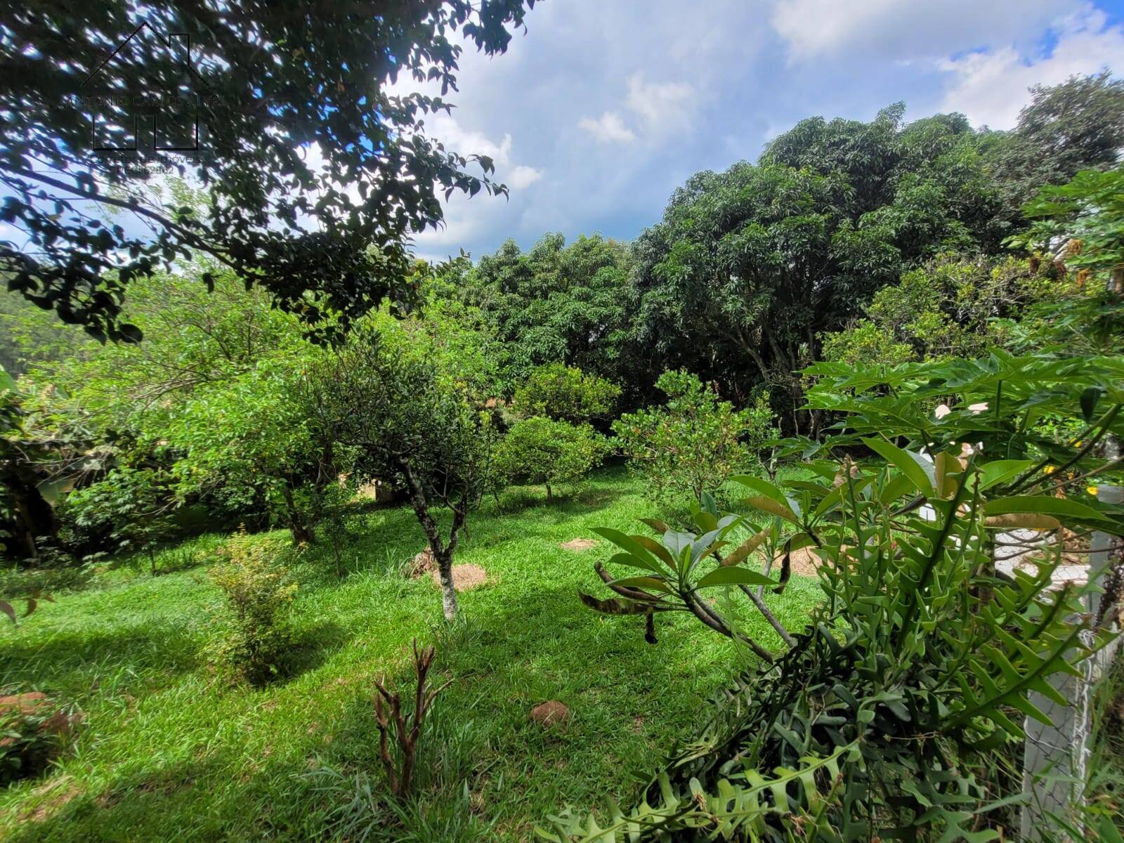 Fazenda à venda com 2 quartos, 200m² - Foto 37