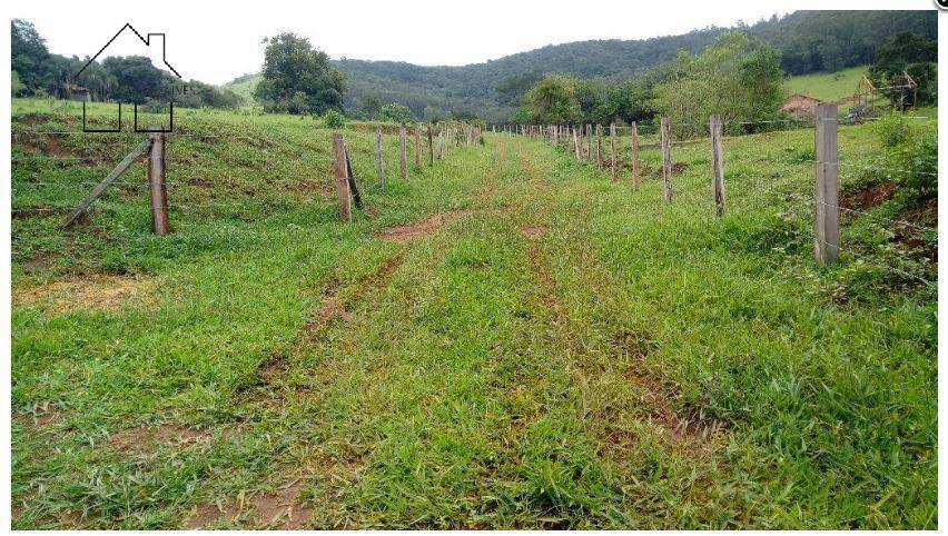 Terreno à venda, 20000m² - Foto 4