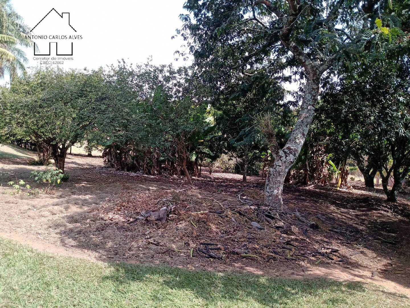 Fazenda à venda com 4 quartos, 850m² - Foto 39