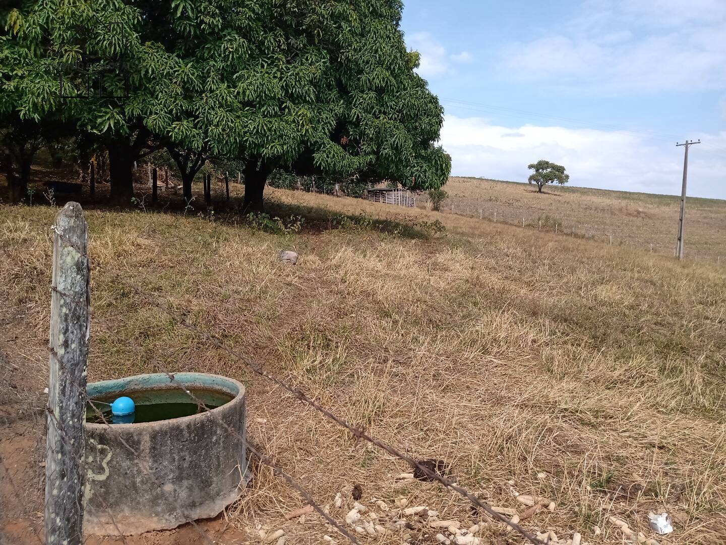 Fazenda à venda com 4 quartos, 850m² - Foto 56