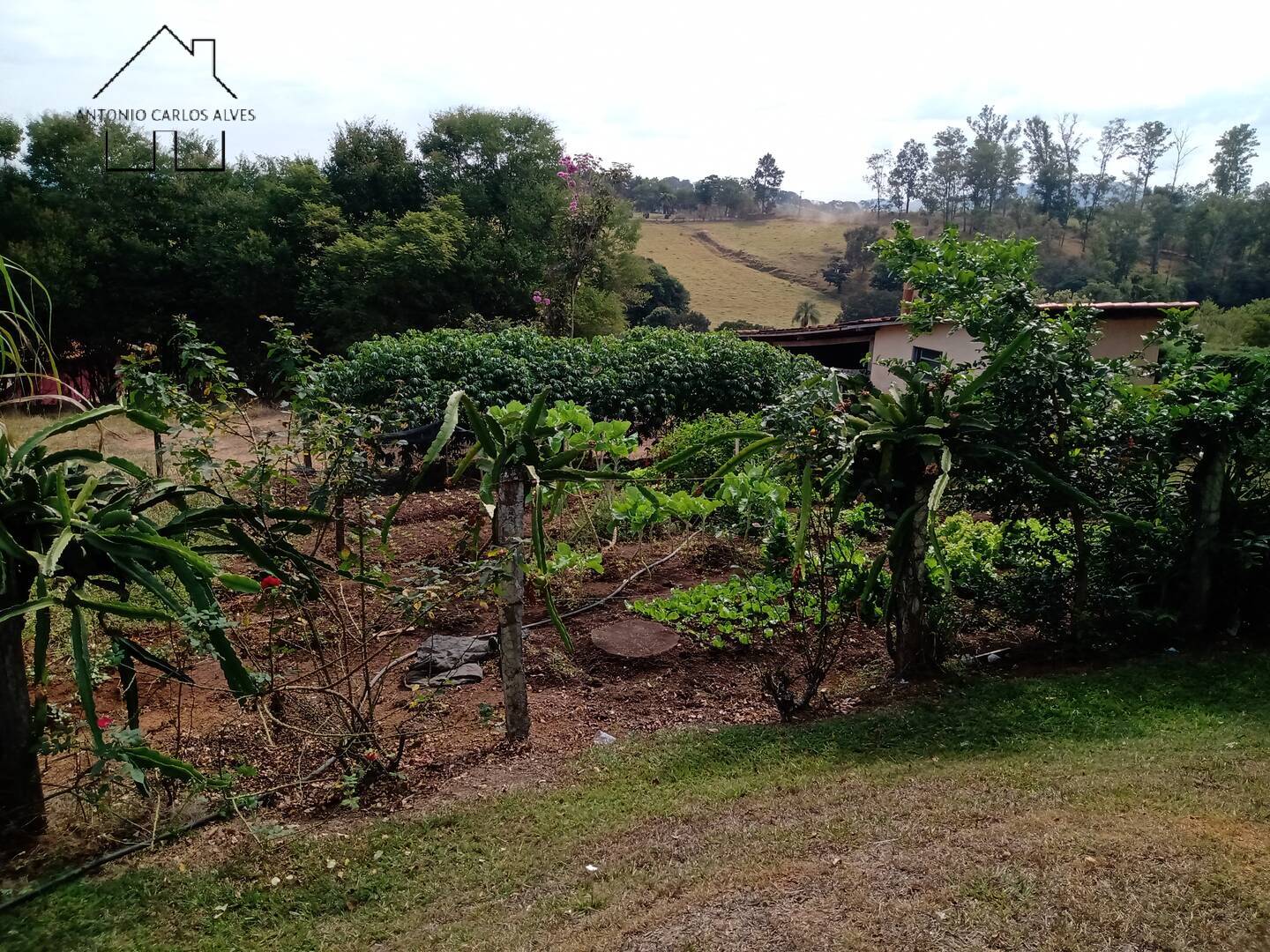 Fazenda à venda com 4 quartos, 850m² - Foto 52