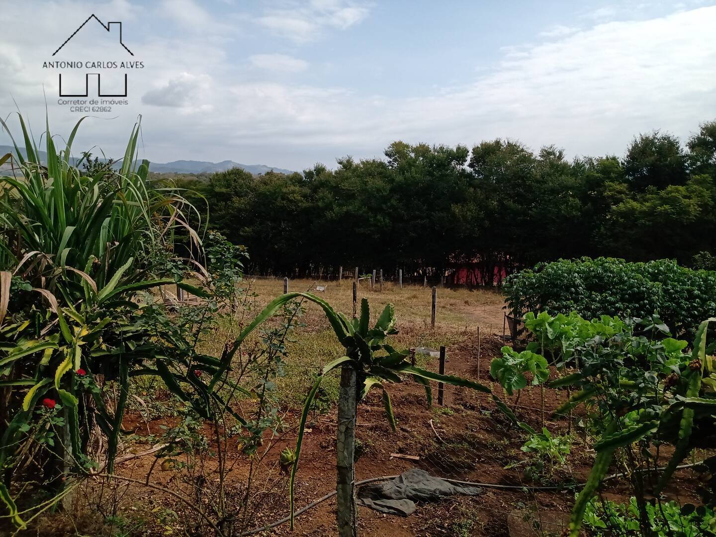 Fazenda à venda com 4 quartos, 850m² - Foto 53