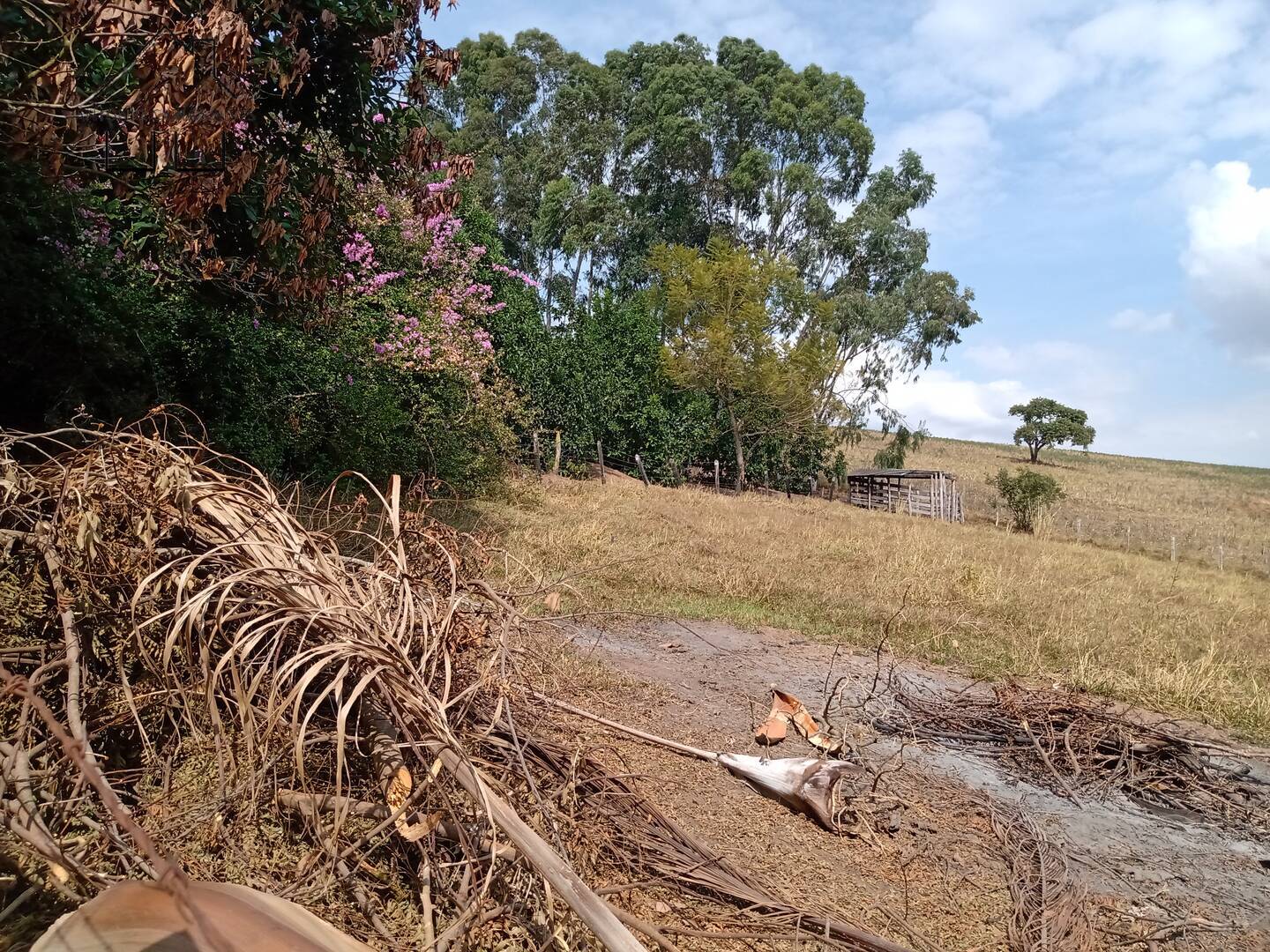 Fazenda à venda com 4 quartos, 850m² - Foto 57