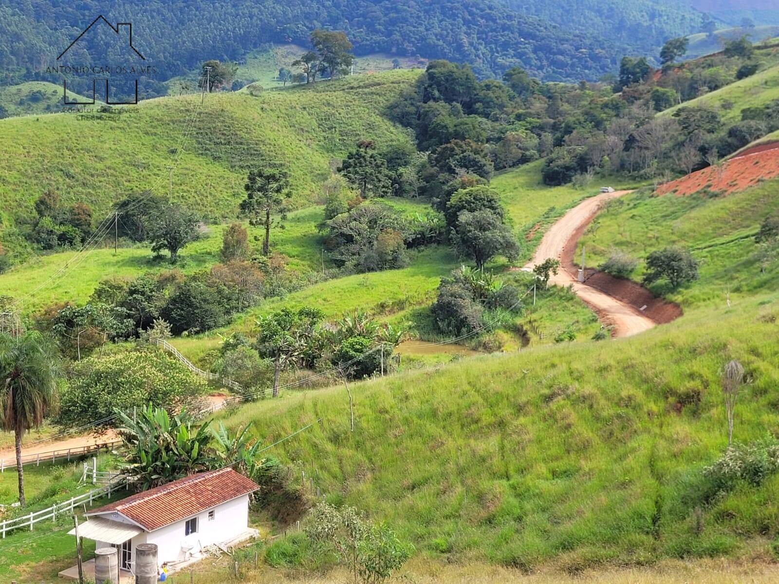 Fazenda à venda com 2 quartos, 200m² - Foto 47