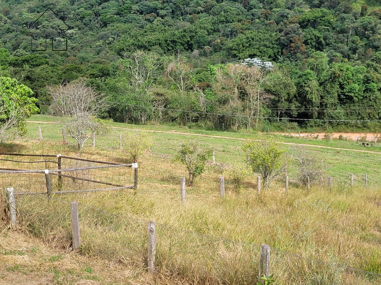 Fazenda à venda com 2 quartos, 200m² - Foto 49