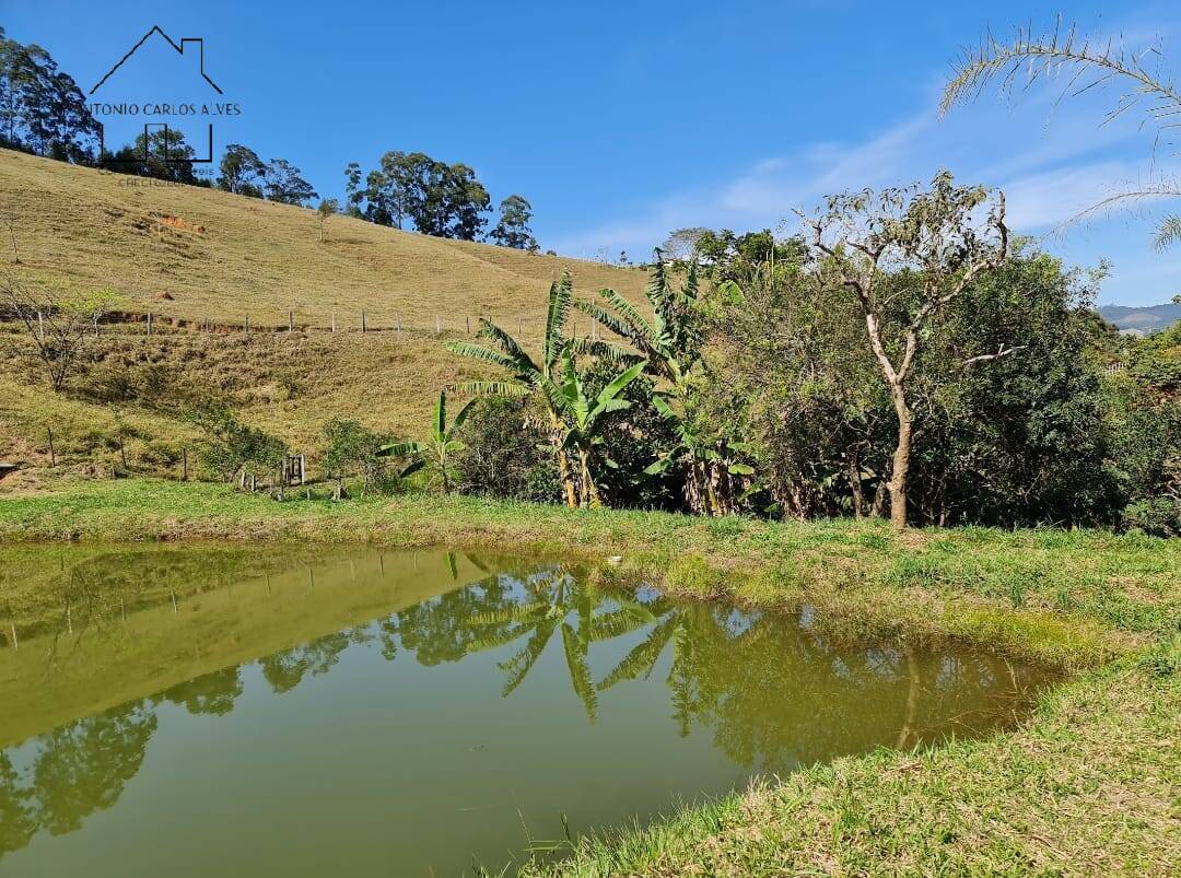 Fazenda à venda com 2 quartos, 200m² - Foto 41