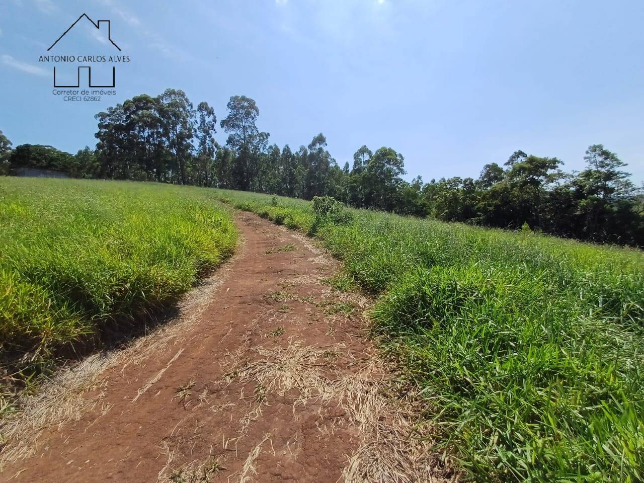 Fazenda à venda com 2 quartos, 200m² - Foto 51